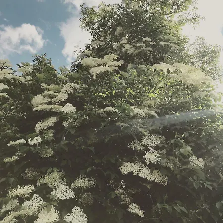 Сasa de vacaciones Casa Anna Villach