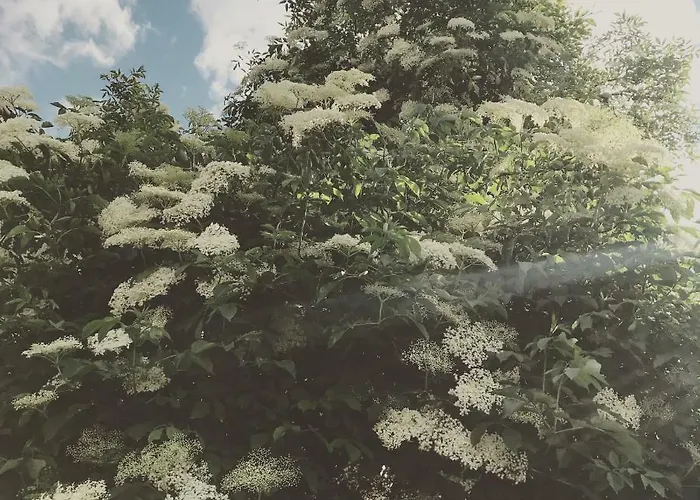 Tatil Evi Casa Anna Villach