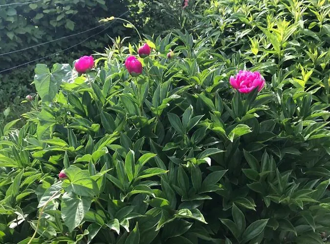 Hébergement de vacances Casa Anna